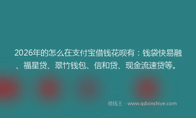 2026年的怎么在支付宝借钱花呗有:钱袋快易融、福星贷、翠竹钱包、信和贷、现金流速贷等。