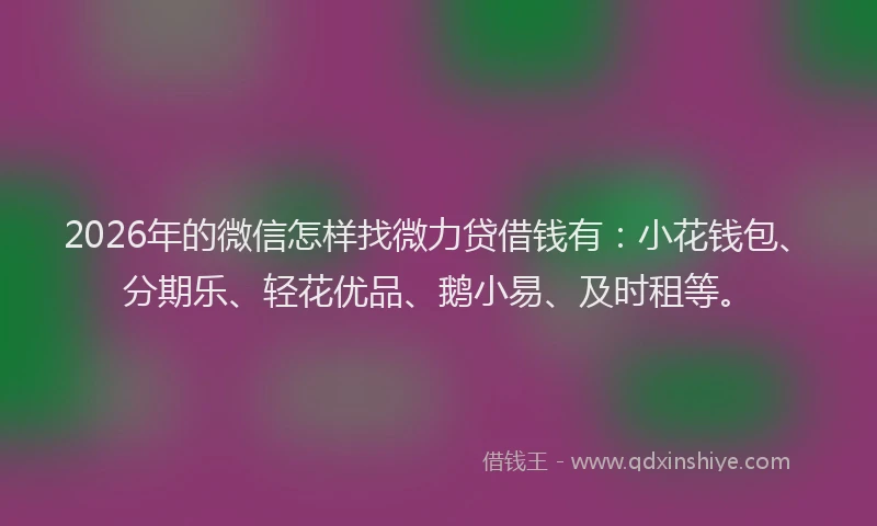 2026年的微信怎样找微力贷借钱有：小花钱包、分期乐、轻花优品、鹅小易、及时租等。