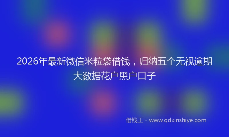 2026年最新微信米粒袋借钱，归纳五个无视逾期大数据花户黑户口子