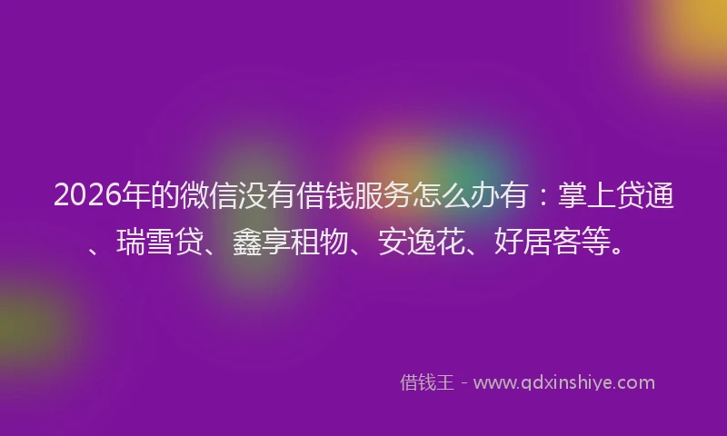 2026年的微信没有借钱服务怎么办有：掌上贷通、瑞雪贷、鑫享租物、安逸花、好居客等。