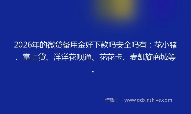 2026年的微贷备用金好下款吗安全吗有：花小猪、掌上贷、洋洋花呗通、花花卡、麦凯旋商城等。