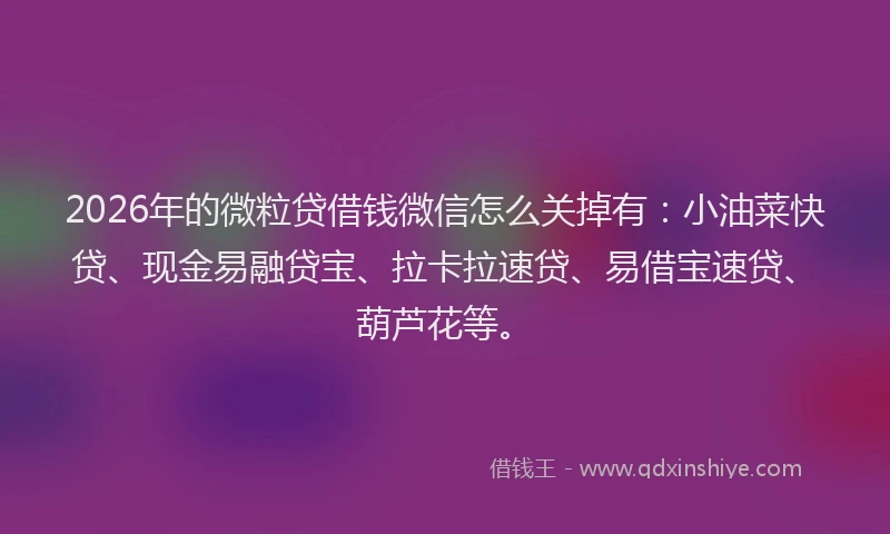 2026年的微粒贷借钱微信怎么关掉有：小油菜快贷、现金易融贷宝、拉卡拉速贷、易借宝速贷、葫芦花等。
