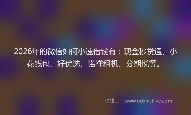 2026年的微信如何小速借钱有：现金秒贷通、小花钱包、好优选、诺祥租机、分期悦等。