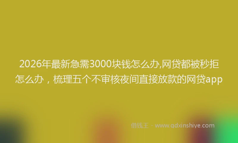 2026年最新急需3000块钱怎么办,网贷都被秒拒怎么办，梳理五个不审核夜间直接放款的网贷app