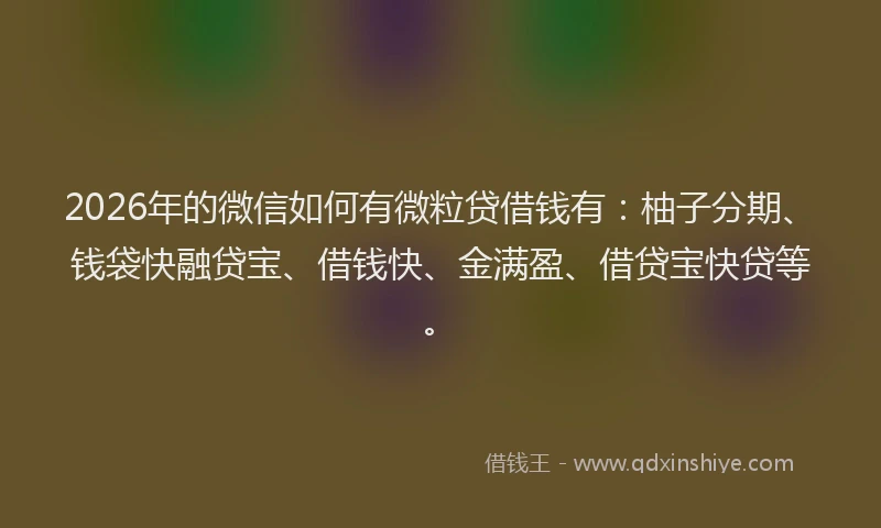 2026年的微信如何有微粒贷借钱有：柚子分期、钱袋快融贷宝、借钱快、金满盈、借贷宝快贷等。