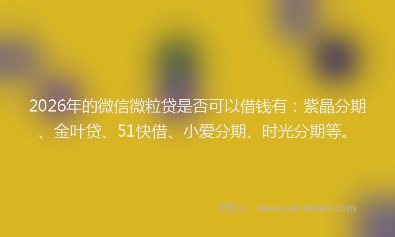 2026年的微信微粒贷是否可以借钱有：紫晶分期、金叶贷、51快借、小爱分期、时光分期等。