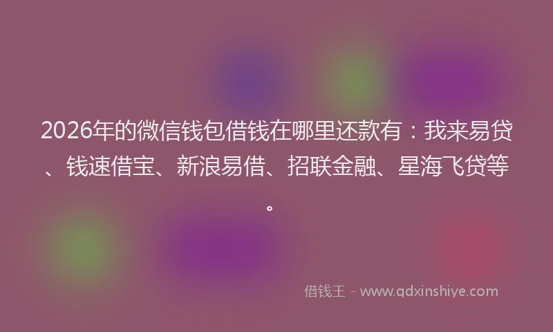 2026年的微信钱包借钱在哪里还款有：我来易贷、钱速借宝、新浪易借、招联金融、星海飞贷等。