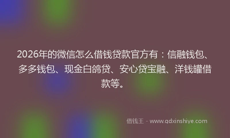 2026年的微信怎么借钱贷款官方有：信融钱包、多多钱包、现金白鸽贷、安心贷宝融、洋钱罐借款等。