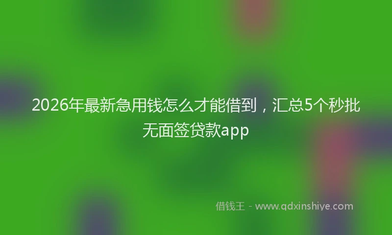 2026年最新急用钱怎么才能借到，汇总5个秒批无面签贷款app
