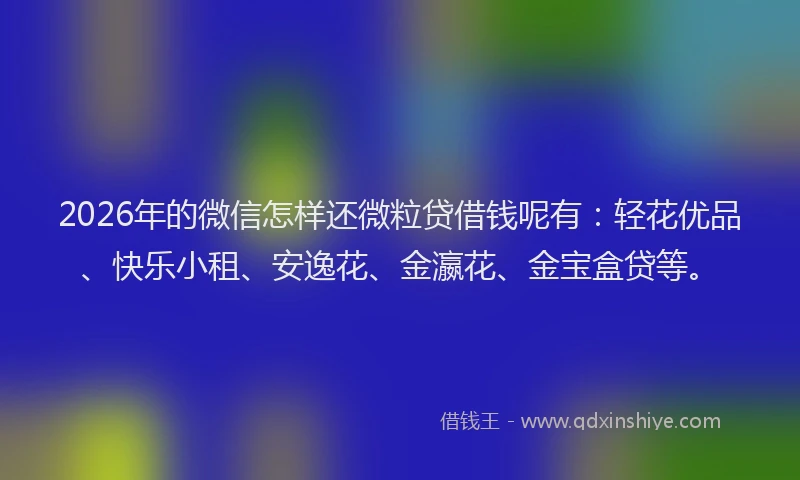 2026年的微信怎样还微粒贷借钱呢有：轻花优品、快乐小租、安逸花、金瀛花、金宝盒贷等。