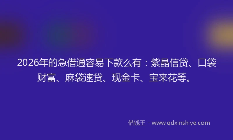 2026年的急借通容易下款么有:紫晶信贷、口袋财富、麻袋速贷、现金卡、宝来花等。