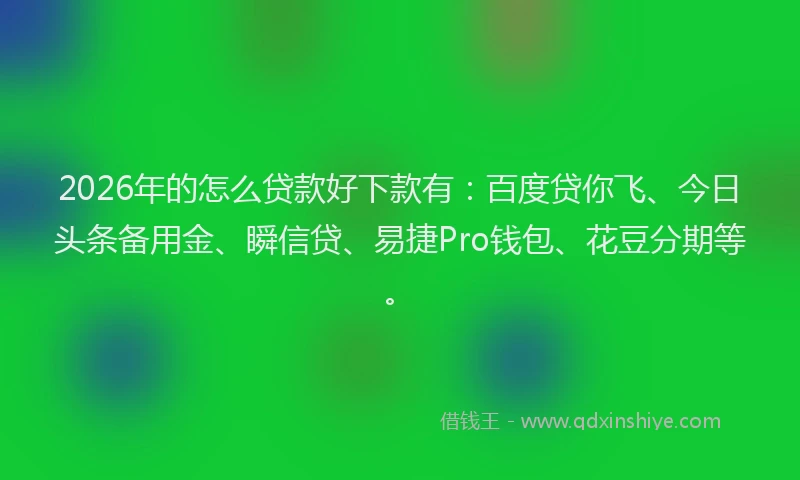 2026年的怎么贷款好下款有:百度贷你飞、今日头条备用金、瞬信贷、易捷Pro钱包、花豆分期等。