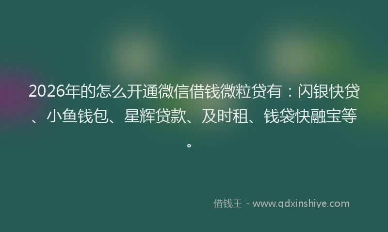 2026年的怎么开通微信借钱微粒贷有：闪银快贷、小鱼钱包、星辉贷款、及时租、钱袋快融宝等。