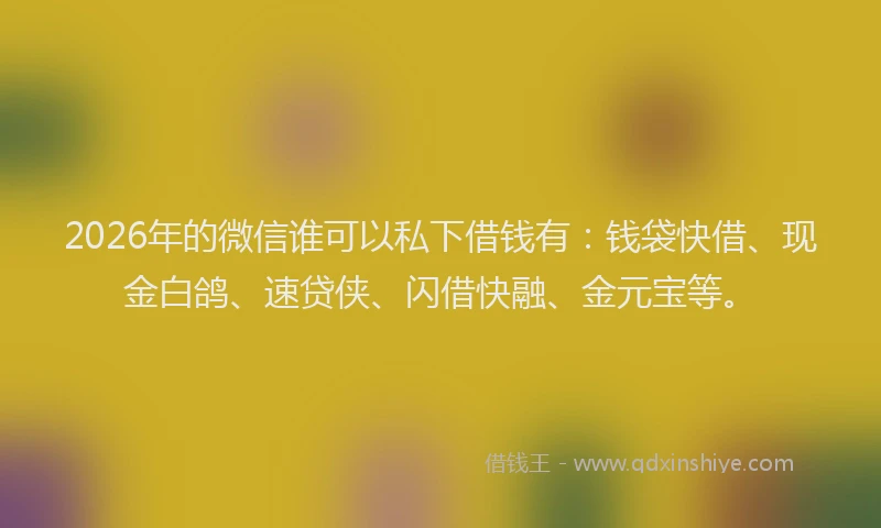 2026年的微信谁可以私下借钱有：钱袋快借、现金白鸽、速贷侠、闪借快融、金元宝等。