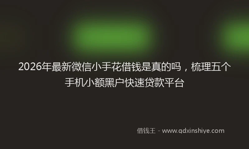 2026年最新微信小手花借钱是真的吗，梳理五个手机小额黑户快速贷款平台