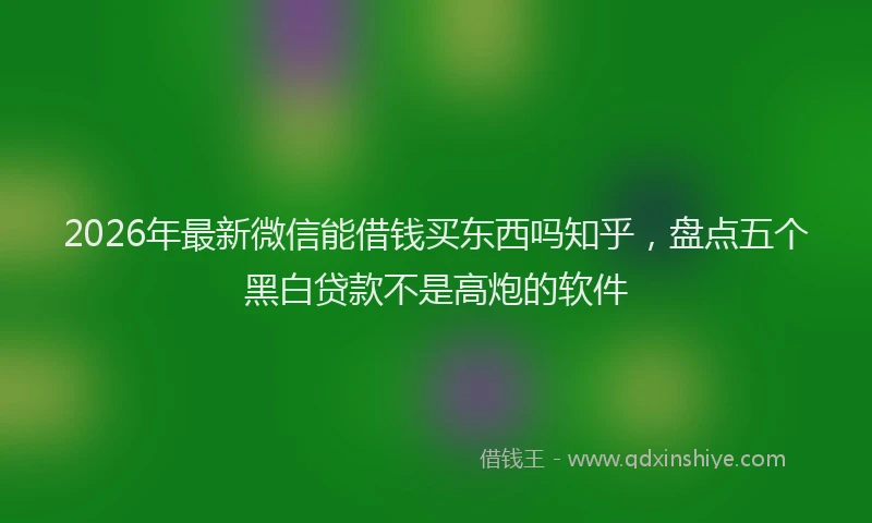 2026年最新微信能借钱买东西吗知乎，盘点五个黑白贷款不是高炮的软件