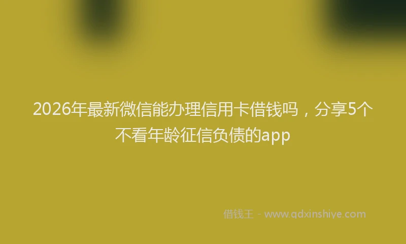2026年最新微信能办理信用卡借钱吗，分享5个不看年龄征信负债的app