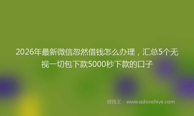 2026年最新微信忽然借钱怎么办理，汇总5个无视一切包下款5000秒下款的口子