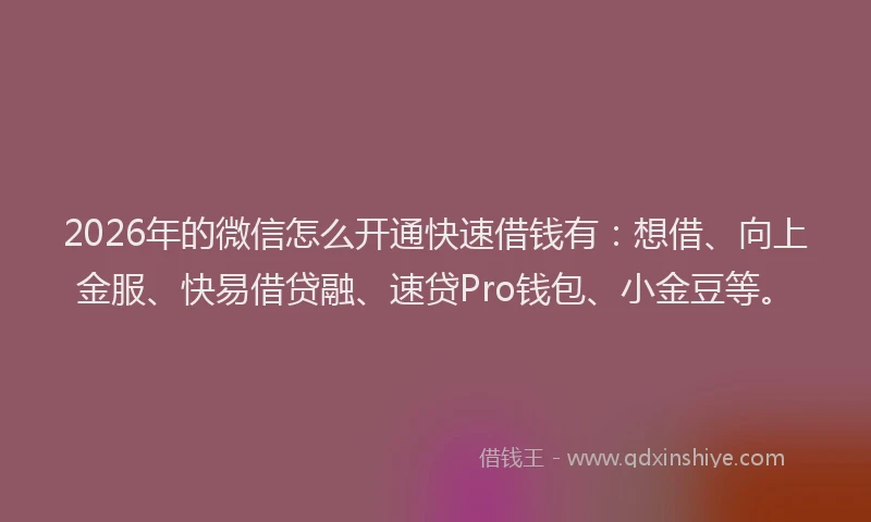 2026年的微信怎么开通快速借钱有：想借、向上金服、快易借贷融、速贷Pro钱包、小金豆等。
