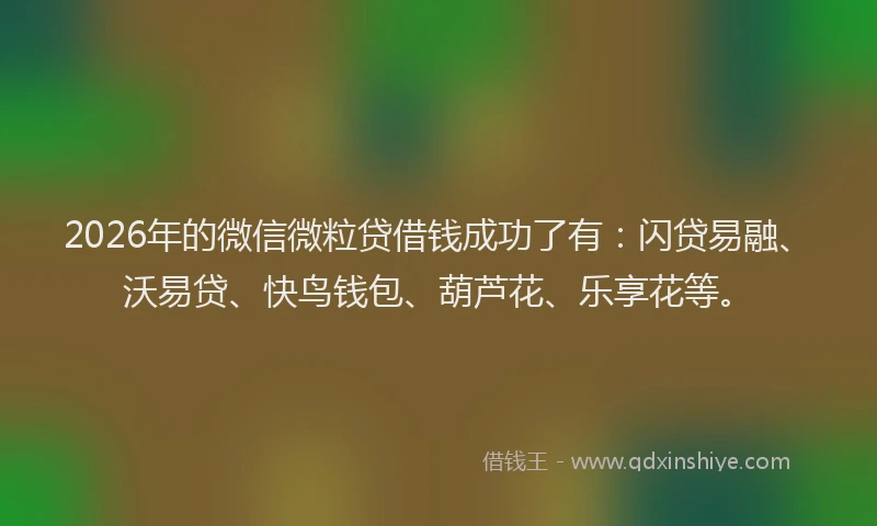 2026年的微信微粒贷借钱成功了有：闪贷易融、沃易贷、快鸟钱包、葫芦花、乐享花等。