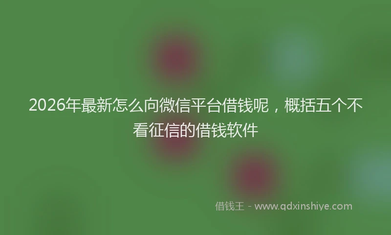 2026年最新怎么向微信平台借钱呢，概括五个不看征信的借钱软件