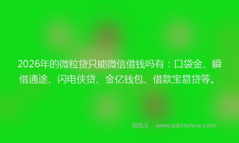 2026年的微粒贷只能微信借钱吗有：口袋金、瞬借通途、闪电侠贷、金亿钱包、借款宝易贷等。
