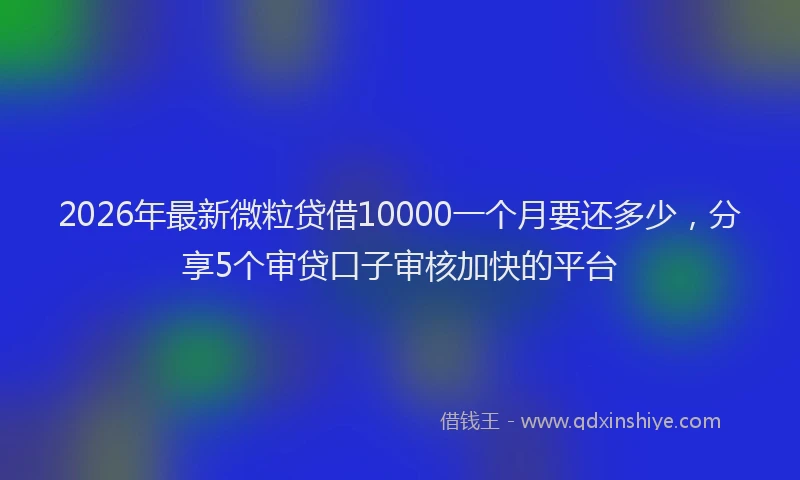 2026年最新微粒贷借10000一个月要还多少，分享5个审贷口子审核加快的平台