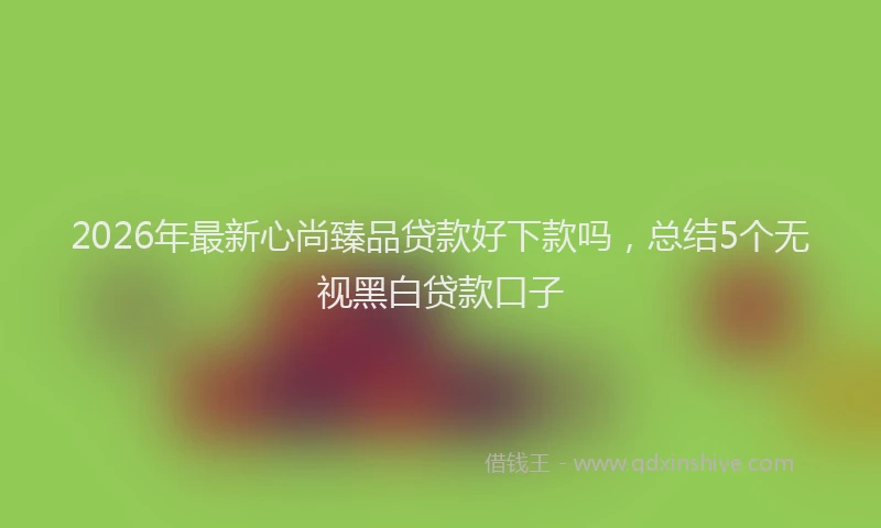 2026年最新心尚臻品贷款好下款吗，总结5个无视黑白贷款口子