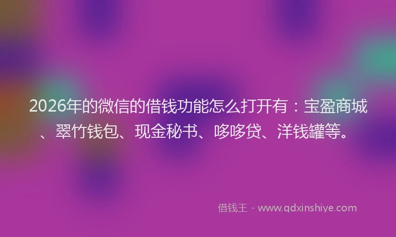 2026年的微信的借钱功能怎么打开有：宝盈商城、翠竹钱包、现金秘书、哆哆贷、洋钱罐等。