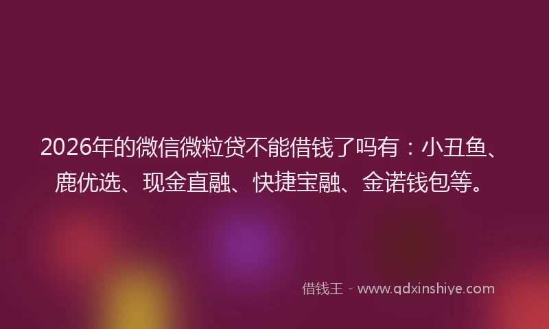 2026年的微信微粒贷不能借钱了吗有：小丑鱼、鹿优选、现金直融、快捷宝融、金诺钱包等。
