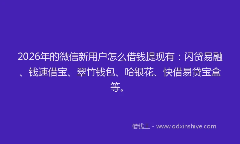 2026年的微信新用户怎么借钱提现有：闪贷易融、钱速借宝、翠竹钱包、哈银花、快借易贷宝盒等。