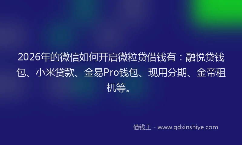 2026年的微信如何开启微粒贷借钱有：融悦贷钱包、小米贷款、金易Pro钱包、现用分期、金帝租机等。