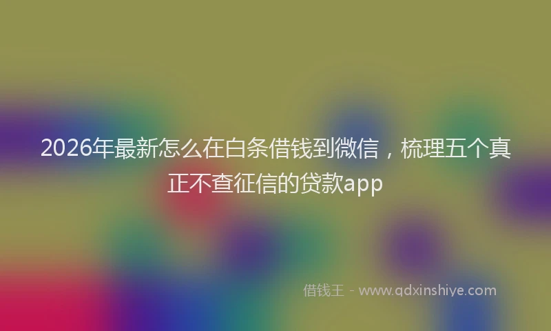 2026年最新怎么在白条借钱到微信，梳理五个真正不查征信的贷款app