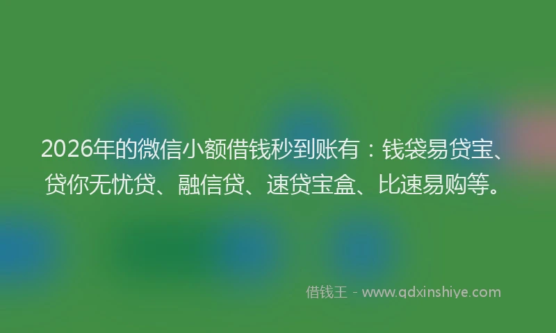 2026年的微信小额借钱秒到账有：钱袋易贷宝、贷你无忧贷、融信贷、速贷宝盒、比速易购等。