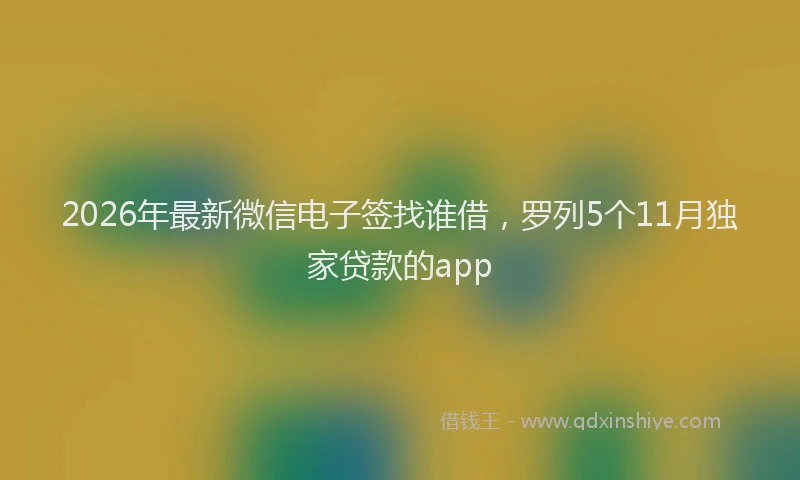 2026年最新微信电子签找谁借，罗列5个11月独家贷款的app