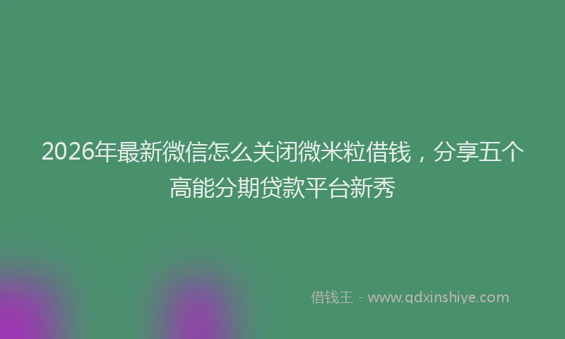 2026年最新微信怎么关闭微米粒借钱，分享五个高能分期贷款平台新秀