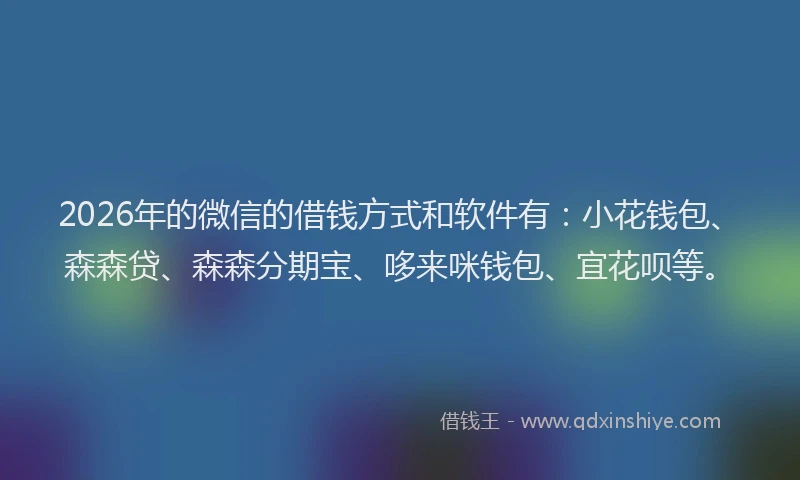 2026年的微信的借钱方式和软件有：小花钱包、森森贷、森森分期宝、哆来咪钱包、宜花呗等。