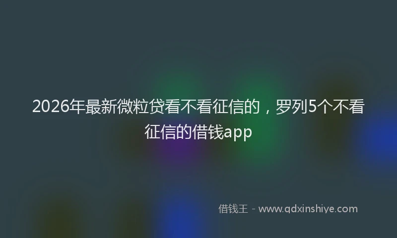 2026年最新微粒贷看不看征信的，罗列5个不看征信的借钱app