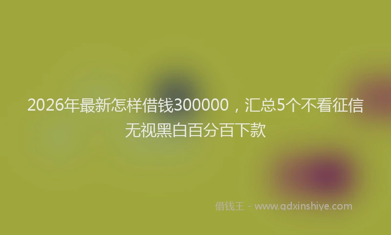 2026年最新怎样借钱300000，汇总5个不看征信无视黑白百分百下款