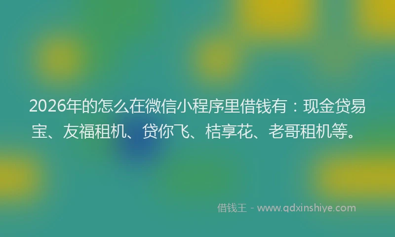 2026年的怎么在微信小程序里借钱有：现金贷易宝、友福租机、贷你飞、桔享花、老哥租机等。