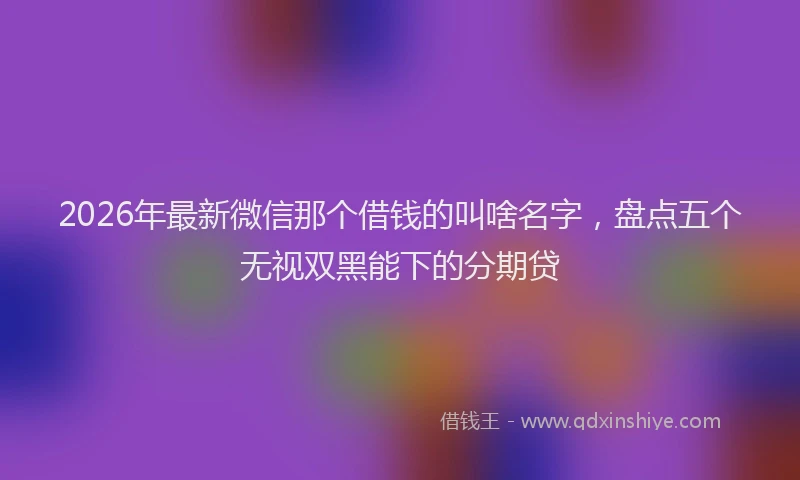 2026年最新微信那个借钱的叫啥名字，盘点五个无视双黑能下的分期贷