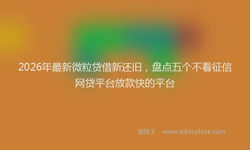 2026年最新微粒贷借新还旧，盘点五个不看征信网贷平台放款快的平台