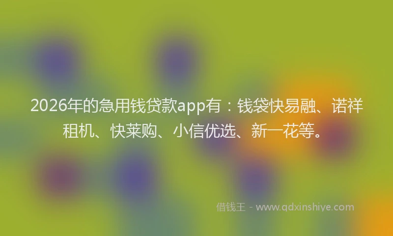 2026年的急用钱贷款app有：钱袋快易融、诺祥租机、快莱购、小信优选、新一花等。