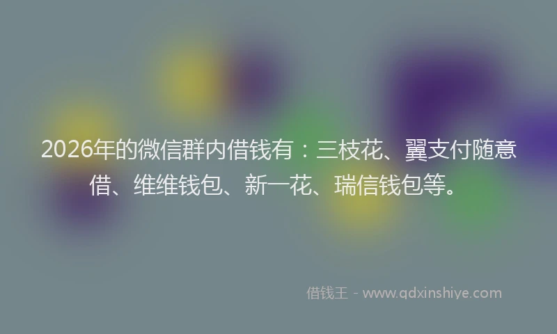 2026年的微信群内借钱有：三枝花、翼支付随意借、维维钱包、新一花、瑞信钱包等。