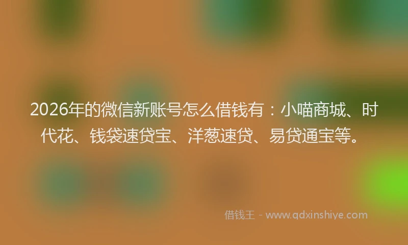 2026年的微信新账号怎么借钱有：小喵商城、时代花、钱袋速贷宝、洋葱速贷、易贷通宝等。