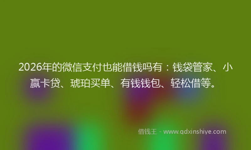 2026年的微信支付也能借钱吗有：钱袋管家、小赢卡贷、琥珀买单、有钱钱包、轻松借等。