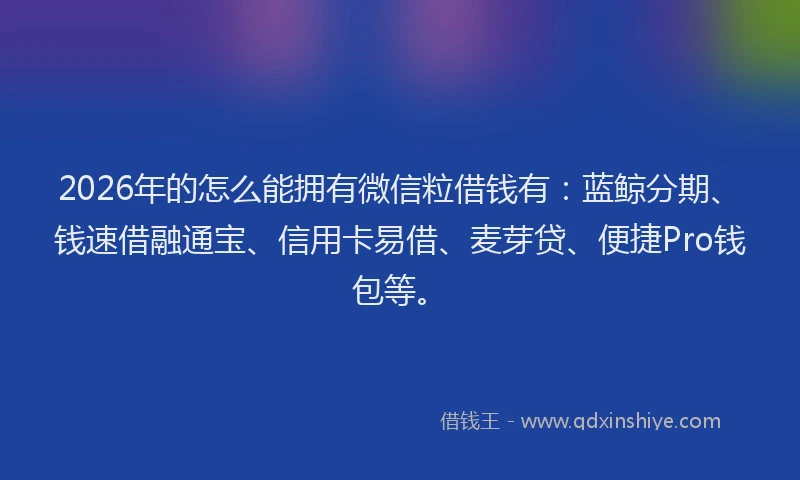 2026年的怎么能拥有微信粒借钱有：蓝鲸分期、钱速借融通宝、信用卡易借、麦芽贷、便捷Pro钱包等。
