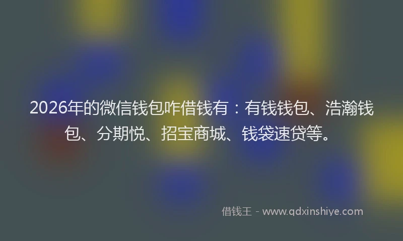 2026年的微信钱包咋借钱有：有钱钱包、浩瀚钱包、分期悦、招宝商城、钱袋速贷等。