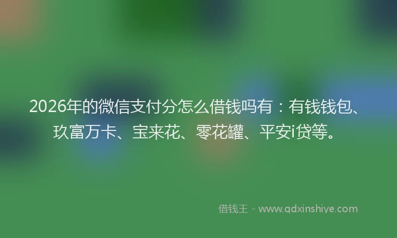 2026年的微信支付分怎么借钱吗有：有钱钱包、玖富万卡、宝来花、零花罐、平安i贷等。