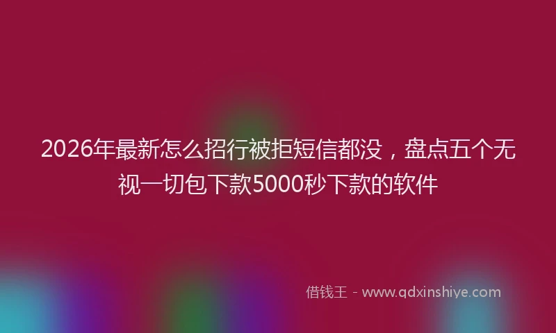 2026年最新怎么招行被拒短信都没，盘点五个无视一切包下款5000秒下款的软件
